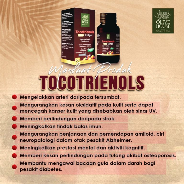 WhatsApp Image 2023-12-11 at 8.36.16 PM